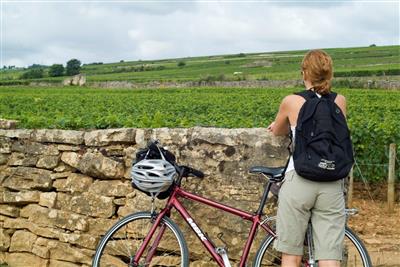 Cycliste muret copyright: