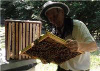 Jean-Jacques Coppin sur les ruches Les Ruchers du Morvan