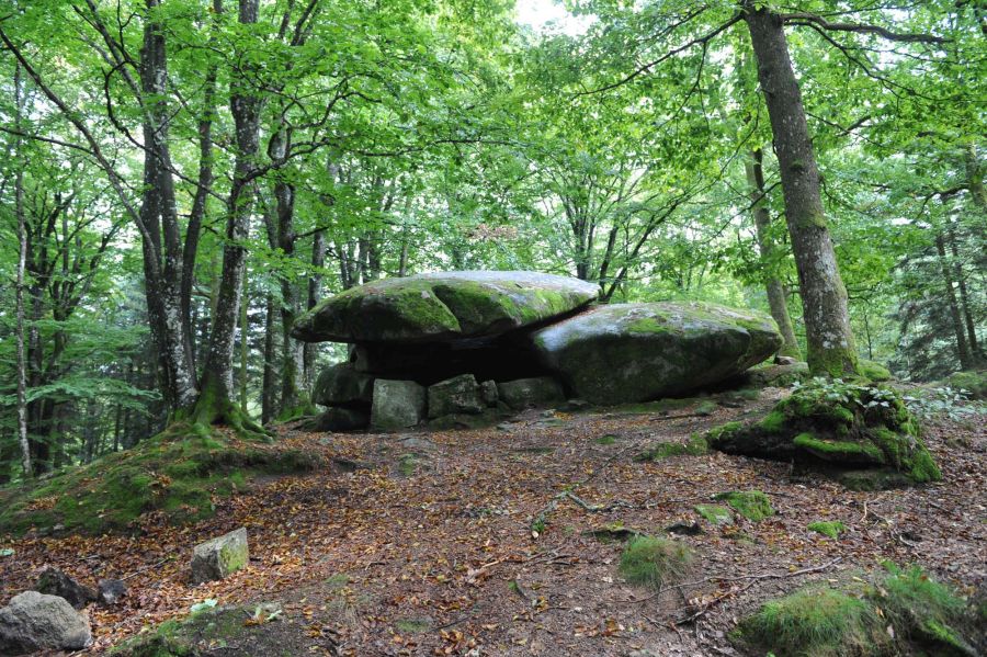 Circuit de randonnée : Boucle du dolmen Chevresse ADT 58