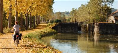OP031BOU000V504G39 - bourgogne1 copyright: